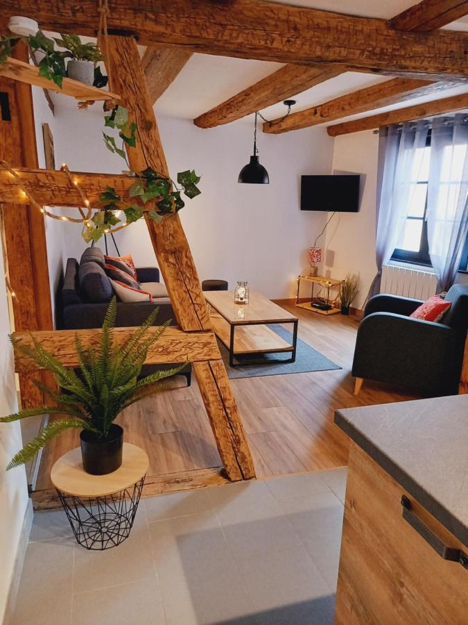 Appart'Heim Colmar Kültér fotó